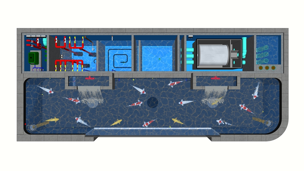 Desain Kolam Ikan Koi RDF