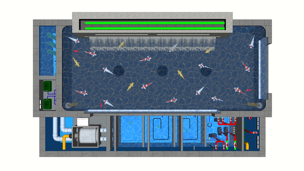 Desain Kolam Koi Filter RDF