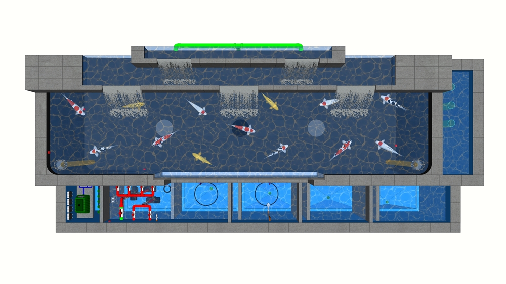 Desain Kolam Koi Sump Filter